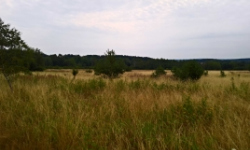 techlovice-u-stribra-pc-1355-1-4-5-1341-1-2-1368-2-prehled