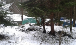 temny-dul-pc-st114-prehled