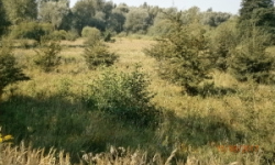 terezin-pc-736-3-738-1-819-prehled