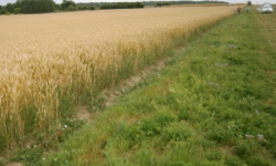 velka-dobra-pc-400-114-prehled