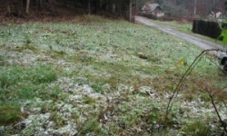 vlkovec-pc-833-prehled