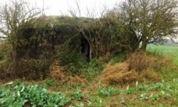 vratenin-vec-192ol-prehled