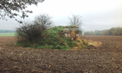 vratenin-vec-195ol-prehled