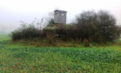 vratenin-vec-210ol-prehled