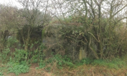 vratenin-vec-219ol-prehled