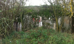 vratenin-vec-222ol-prehled