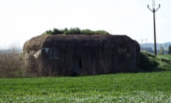 vrbovec-vec-438ol-prehled