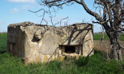 vrbovec-vec-440ol-prehled