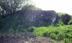 vrbovec-vec-441ol-prehled