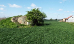 vrbovec-vec-446ol-prehled