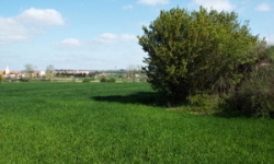 vrbovec-vec-449ol-prehled