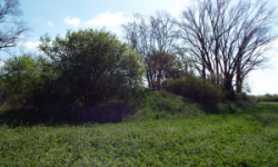 vrbovec-vec-450ol-prehled