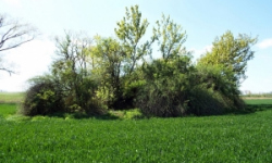 vrbovec-vec-454ol-prehled