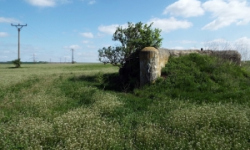 vrbovec-vec-455ol-prehled