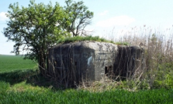 vrbovec-vec-456ol-prehled