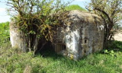 vrbovec-vec-461ol-prehled