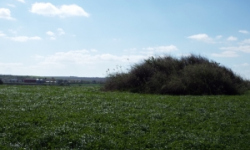 vrbovec-vec-467aol-prehled