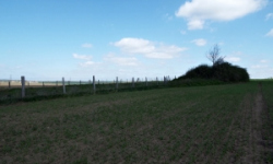 vrbovec-vec-467ol-prehled