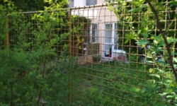 zizkov-podil-pc-3095-7-prehled