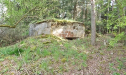 zupanovice-u-desne-vec-6154-prehled