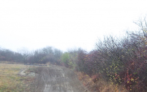 slany-649-foto-1