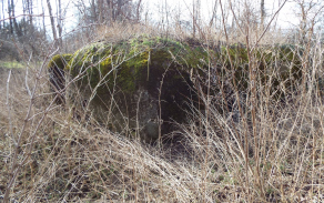 micmanice-vec-500ol-foto-1