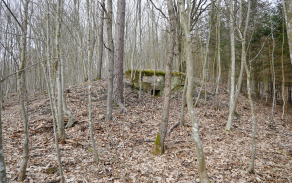 podhradi-n-dyji-257ol-foto-1