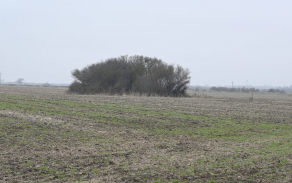 hevlin-vec-578ol-foto-2
