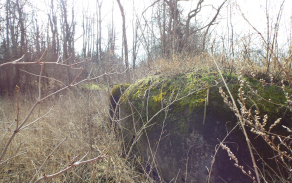 micmanice-vec-500ol-foto-3