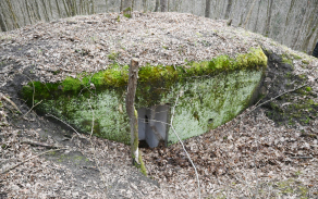 podhradi-n-dyji-257ol-foto-6