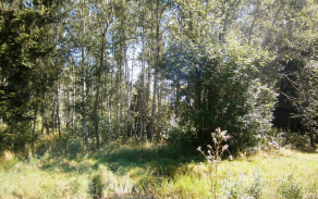 pistov-u-jihlavy-485-7-8-foto-3