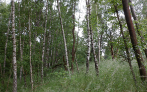 pistov-u-jihlavy-485-11-25-26-46-foto-4