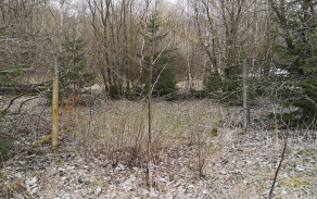 rozmital-p-tremsinem-645-2-foto-1