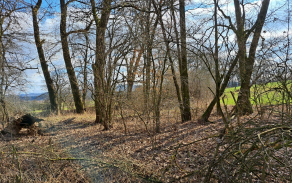 chrastavice-pc-603-2a1406-8-foto-1