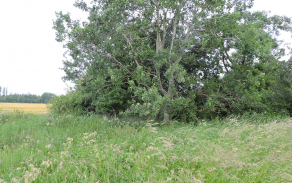horni-benesov-vec-123br-foto-1