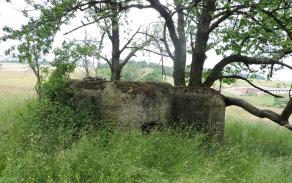horni-benesov-vec-118br-foto-1