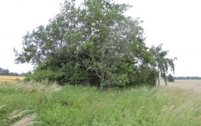 horni-benesov-vec-123br-foto-2
