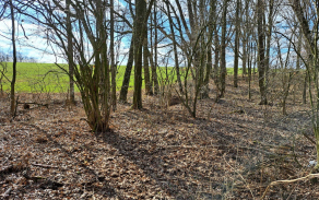 chrastavice-pc-603-2a1406-8-foto-3