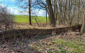 chrastavice-pc-603-2a1406-8-foto-4