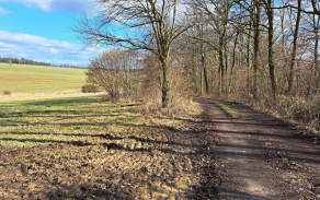 chrastavice-pc-1406-7-foto-4