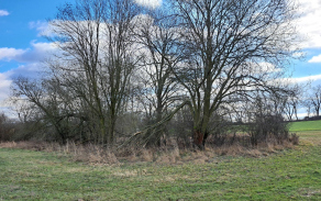 chrastavice-pc-688-2a916-89a1406-6-foto-6