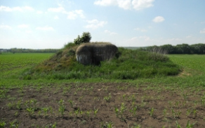 dobre-pole-vec-670ol-foto-1