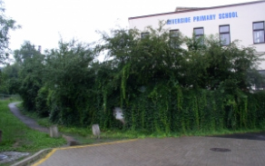 sedlec-pc-49-1-foto-2