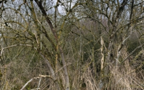 bukovany-u-tynce-nad-sazavou-pc-3452-3-foto-2