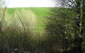 belotin-pc-1147-foto-2