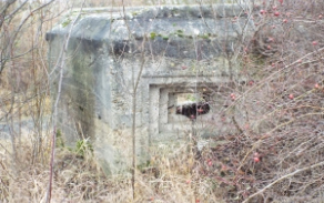 vrskman-vec-107-foto-3