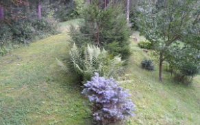 litvinovice-pc-476-1-479-foto-3