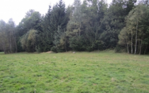 volovice-pc-foto-6