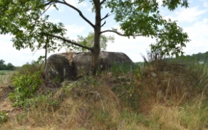 brezi-u-mikulova-vec-673ol-foto-1