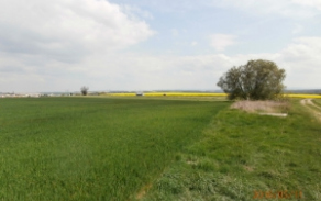 kralovice-u-rakovnika-pc-2606-2-5930-foto-4